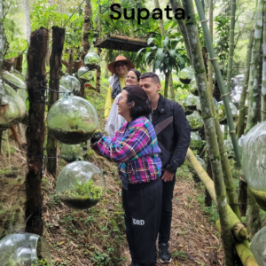 Experiencia "La ruta de las Orquideas"