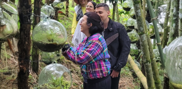 Plan pasa día para visitar la ruta de las Orquídeas