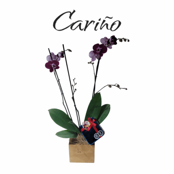 Cariño