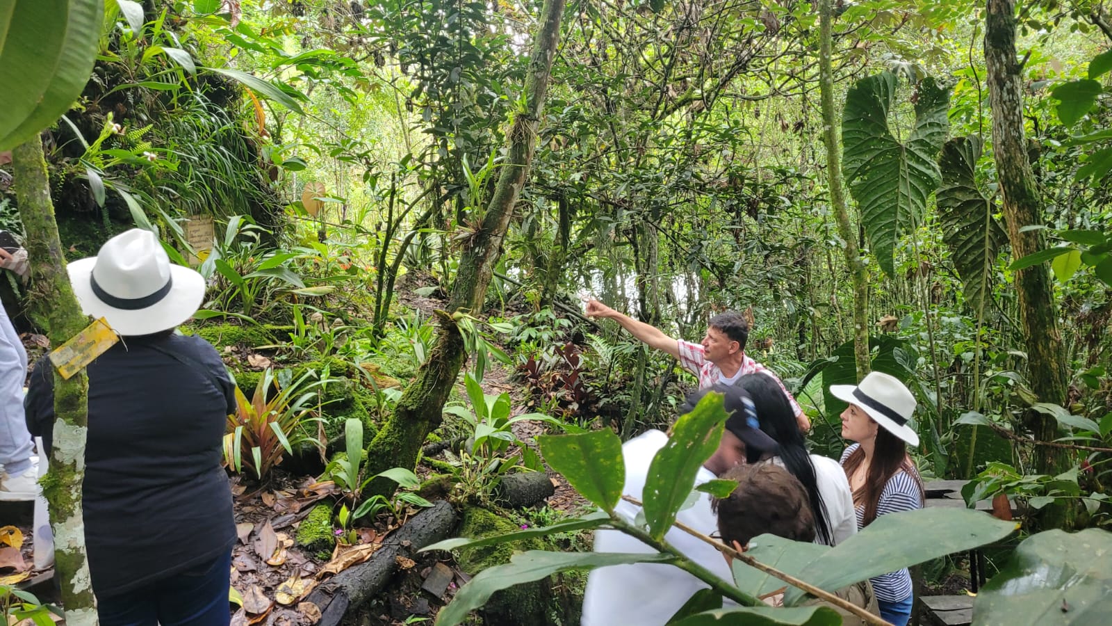 Visita la Ruta de las Orquídeas