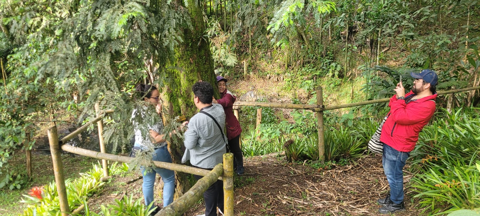 Ven y conoce la ruta de las Orquídeas