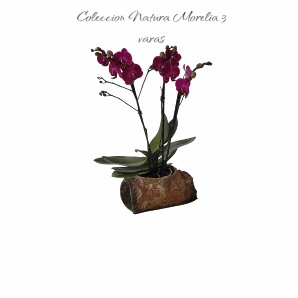 Coleccion natura Morelia 3 varas