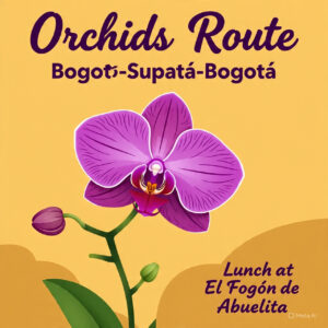 Experiencia plan pasa dia