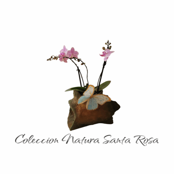 Coleccion natura Santa Rosa 3 varas