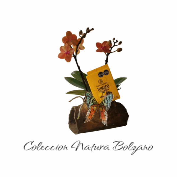 Coleccion natura bolzano 2 varas