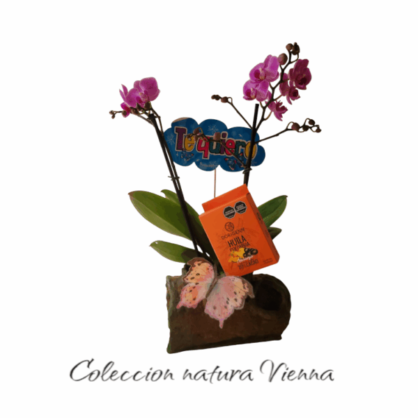 Coleccion natura vienna varas